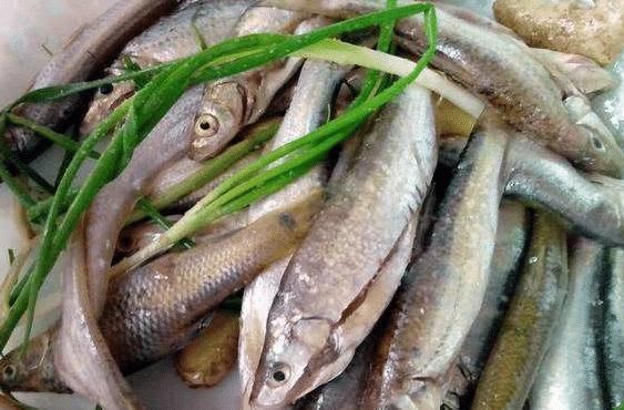 鱼腥味|想要去除鱼腥味,放醋是“大忌”,厨师教你1招,鱼肉鲜嫩无腥味