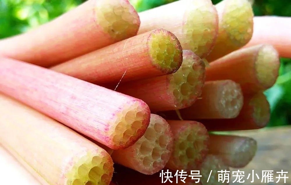 菜市场|一种带刺水生野菜，儿时常割来吃，剥皮后酷似藕带，市场3元1斤