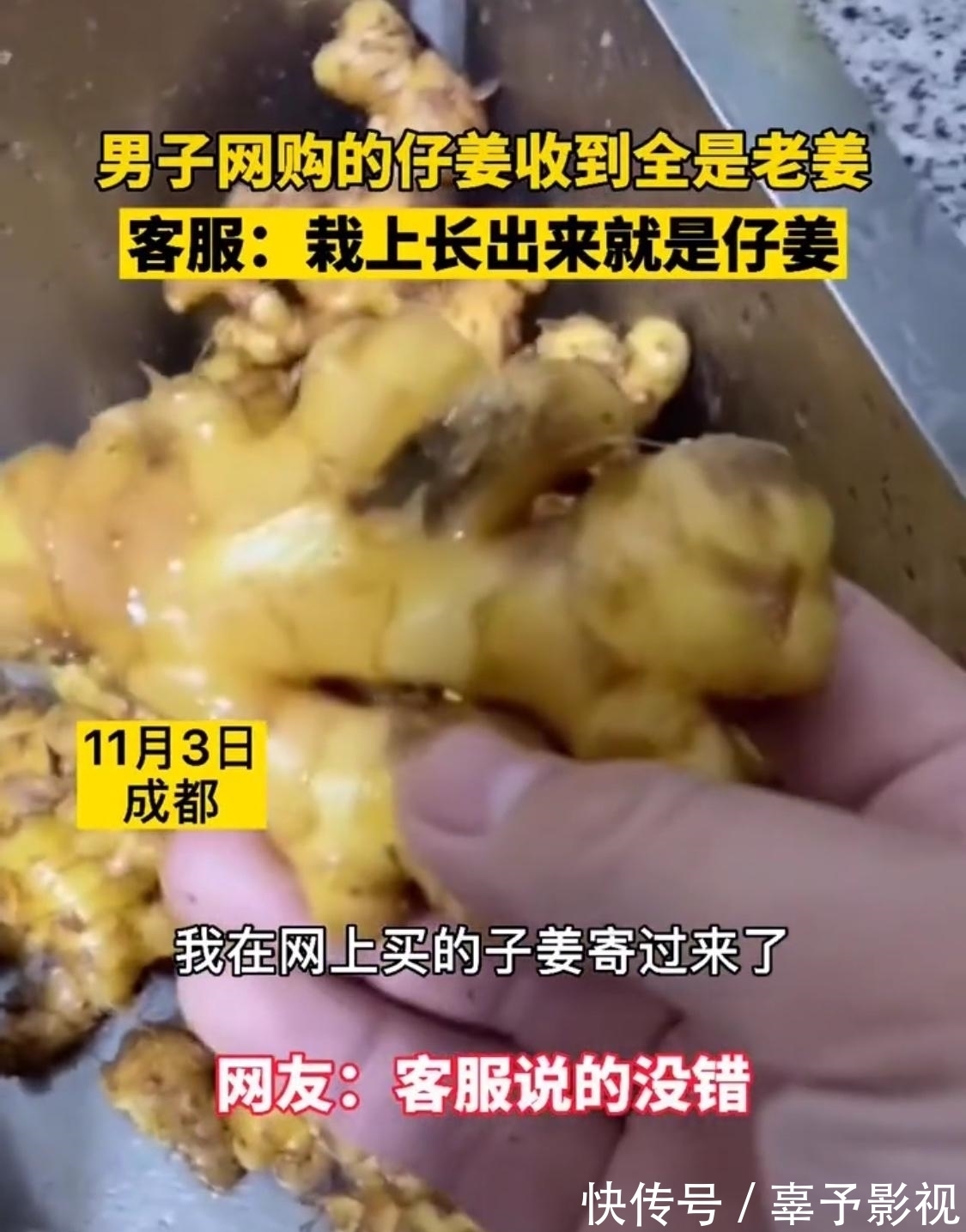 男子|男子想吃仔姜，网店寄来老姜要他自种
