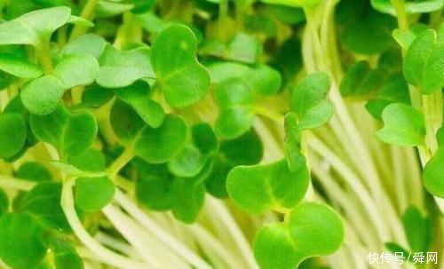 牛油果|好吃又不贵!这几种食物，女性吃了以后美容养颜，延缓衰老