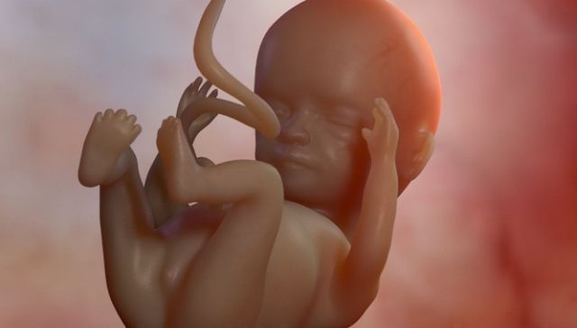 孕晚期|孕期肚子总是一跳一跳的,若孕妈认为是胎动,就搞错了