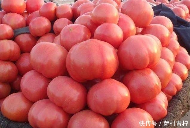 常成熟的西|买西红柿,圆的和尖的选哪种?卖菜大姐:有3种不要买,是催熟的