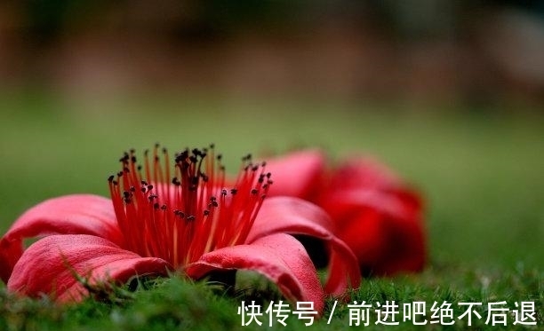 桃花劫|11月内，月老送喜，良缘重启，牵手再恋，再续良缘，携手相爱