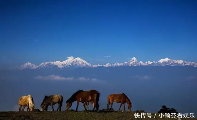 日出|「红岩顶」不容错过的日出云海