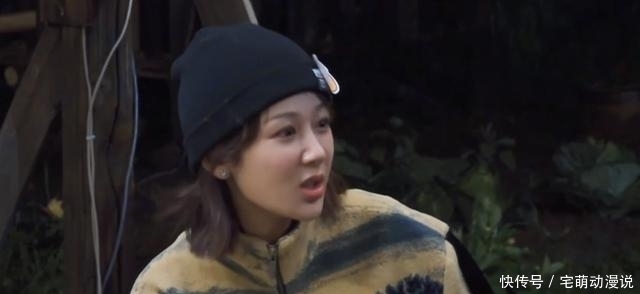 二人组 离开宋丹丹和《心火烧》,《向往5》迎来新元老二人组,收视稳了