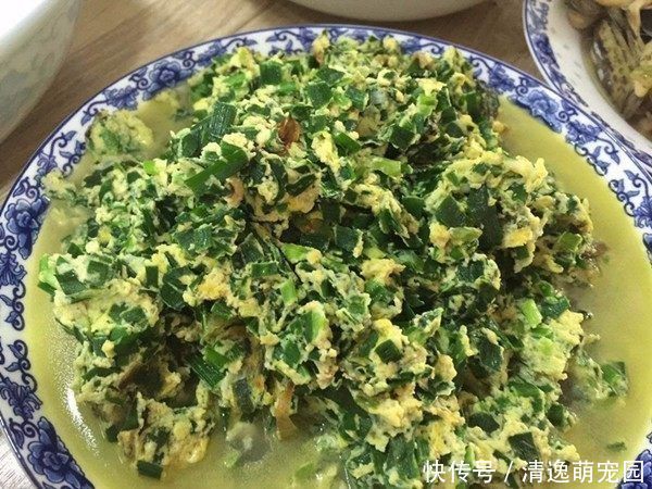 儿媳妇|夫妻回农村老家,父母准备一大桌菜,媳妇吃两口就不想吃了