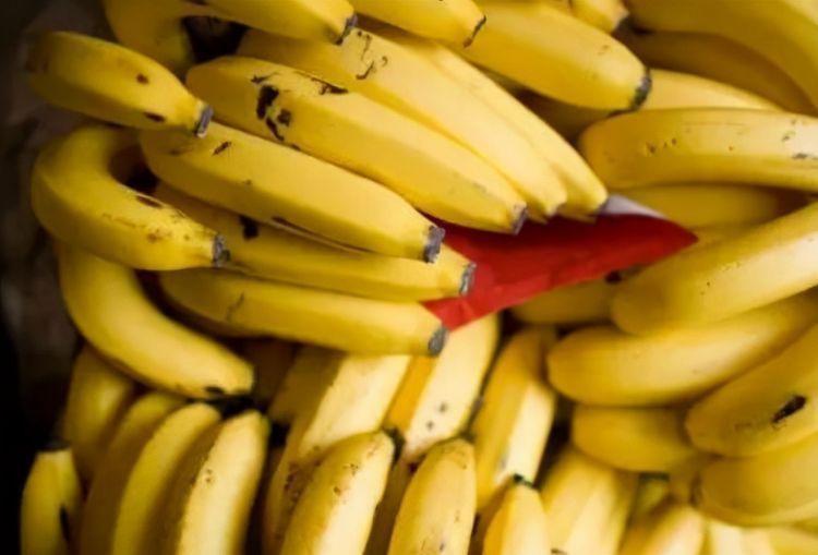 肌肤|对身体很好的3种食物,排毒养颜、滋润肌肤,越吃越年轻!