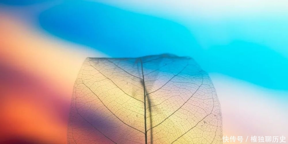 a7173|所有的伤痛都值得欣赏