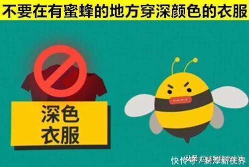 生存|可以在万分危急的情况下拯救你生命的10个生存技巧