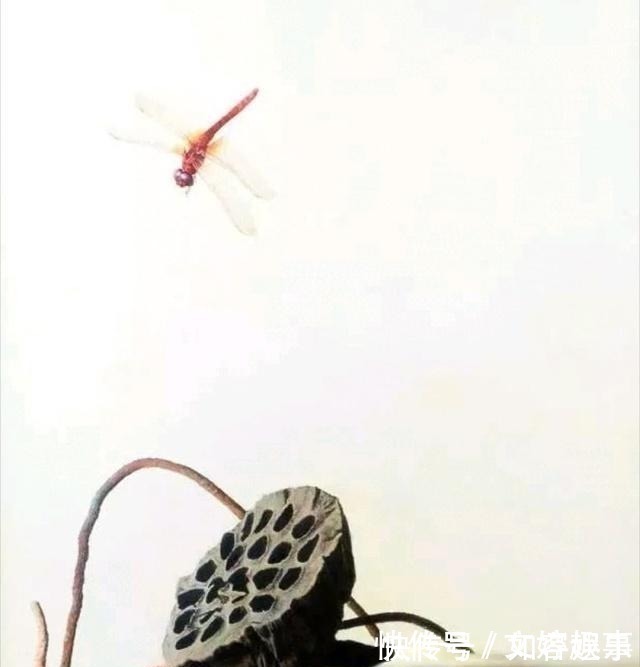 国画&冷军用4000万像素蜻蜓,比拼齐白石的蜻蜓,却输了细节