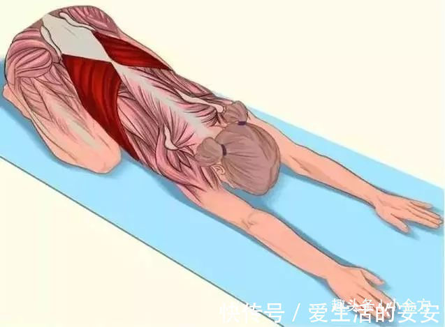 肌肉|终于找到了,这套全身拉筋3D图解,打通全身经络,太难得了