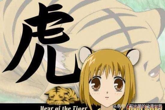 水果篮子人物介绍十二生肖