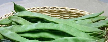 它是天然的钙片,经常给孩子吃,帮助孩子长高个