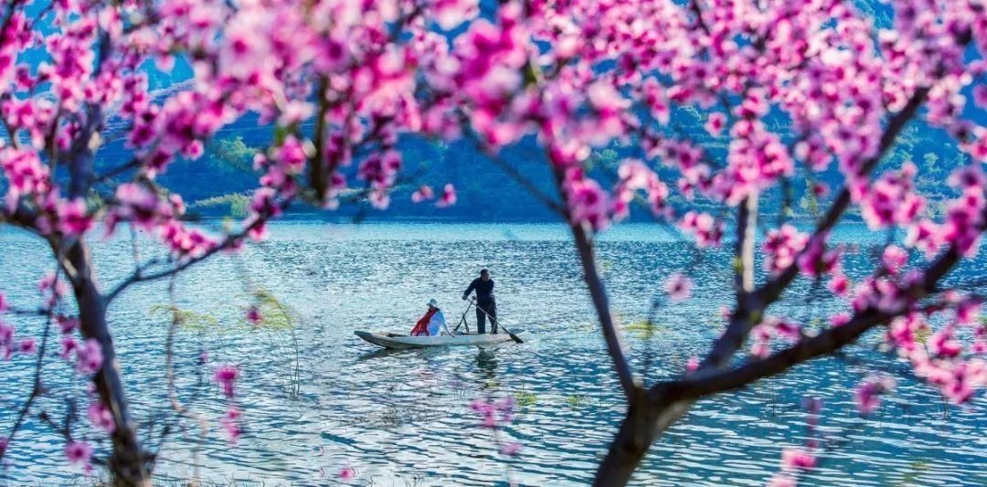 水果|一个充满阳光与水果的城市，值得所有眷恋