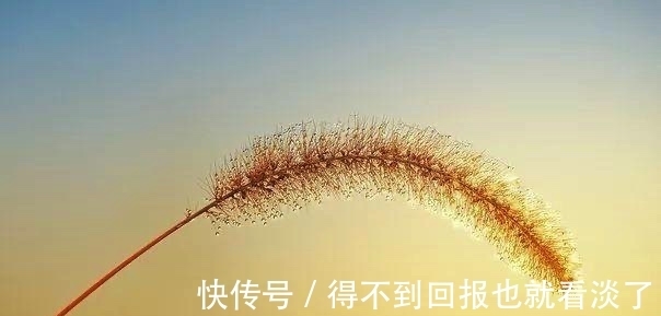 轻声细语|明明是狠角色，却喜欢用柔弱隐藏实力的星座：手段太多，惹不起