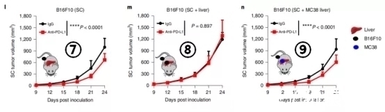 小鼠|让肺癌治疗失效的元凶竟然是它!逆转方法如此简单—抗癌管家