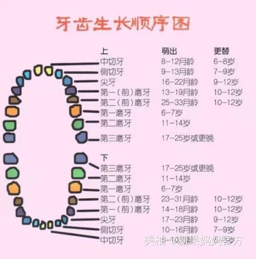 长牙|宝宝多大长第一颗牙？这5个“小怪癖”，是宝宝在说：我长牙了！