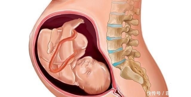 准妈妈|怀孕7个月时，这些事情孕妈要多留意，对自身和胎儿都好
