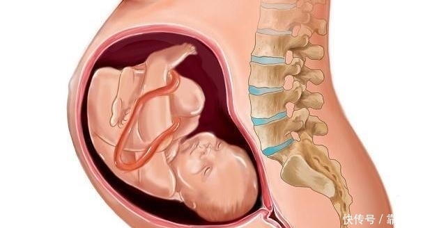 准妈妈|怀孕7个月时,这些事情孕妈要多留意,对自身和胎儿都好