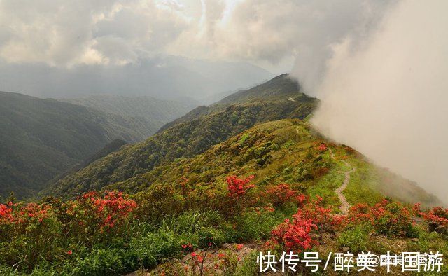 云雾|探访姑婆山，瀑布壮观，风景秀丽，适合自驾游玩