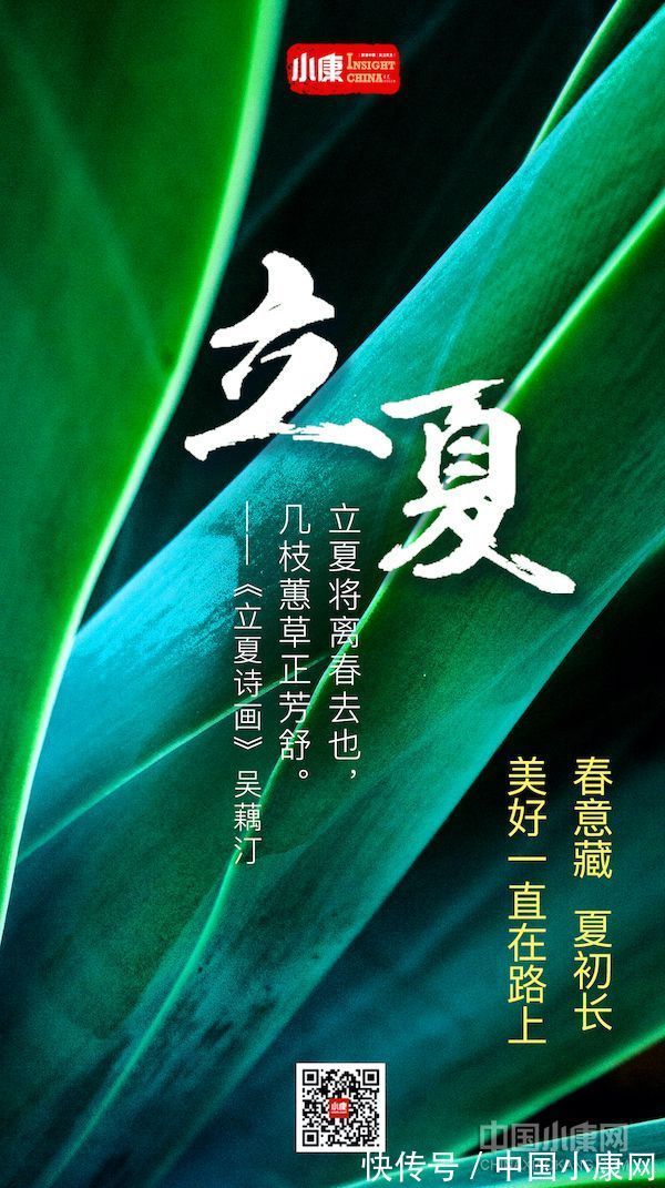 翠竹亭亭!万物有时 岁月成诗:打开二十四节气的另一种方式