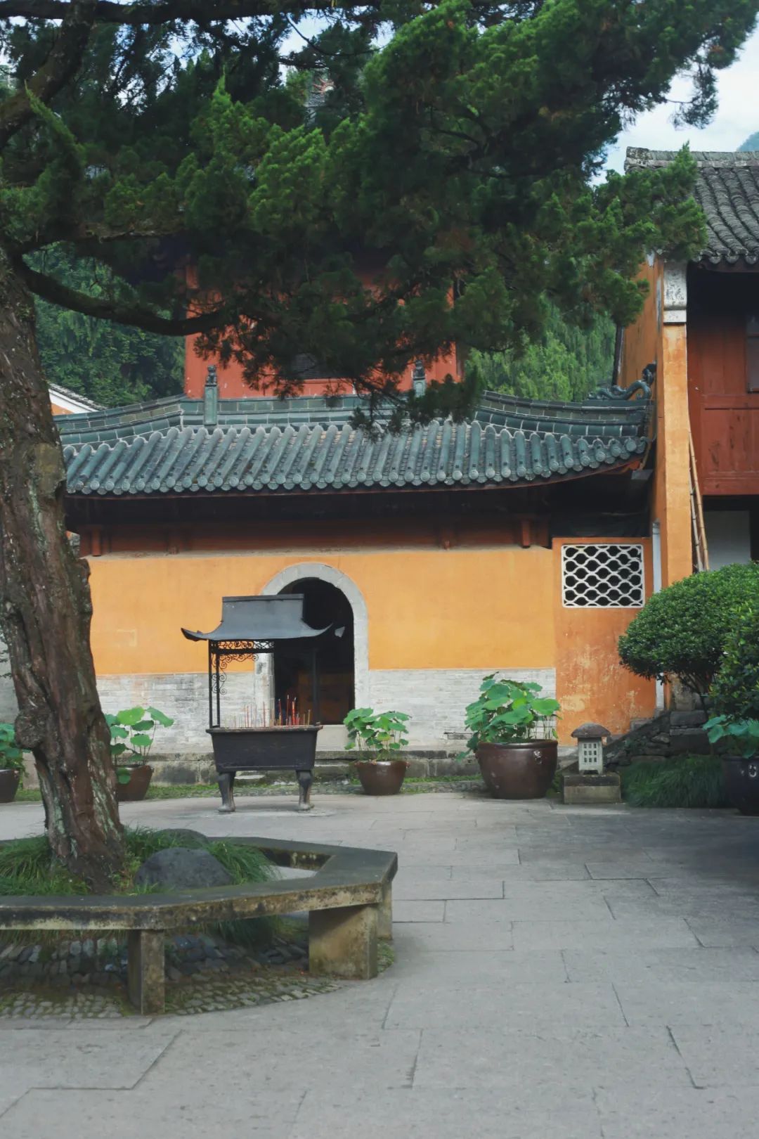 寺院|天台山国清寺恢复开放! 这里低调地美了1400多年, 佛到骨子里!