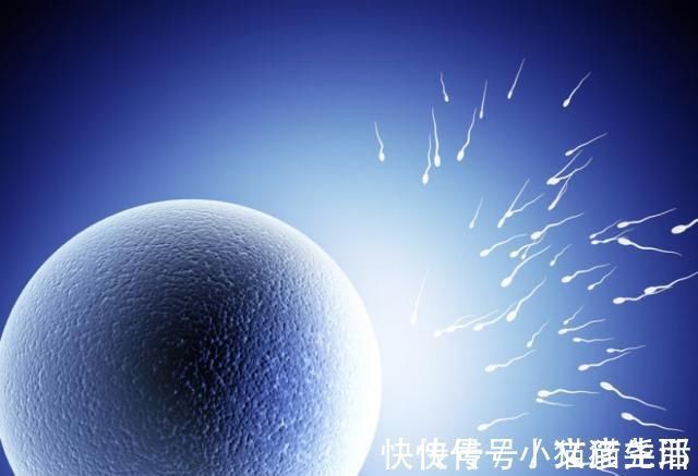 胎儿|怀孕1~40周，每周身体有何变化？送你一份“孕期清单表”！