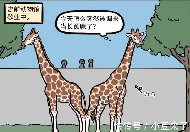 我是谁|非人哉:九月在动物园工作太久,最终迷失自我,亲哥都认不出来!