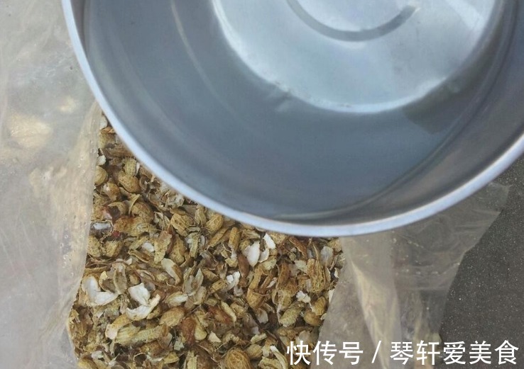坚果壳|换盆加点坚果壳，提前这么弄，养花土变排水性好，肥力十足