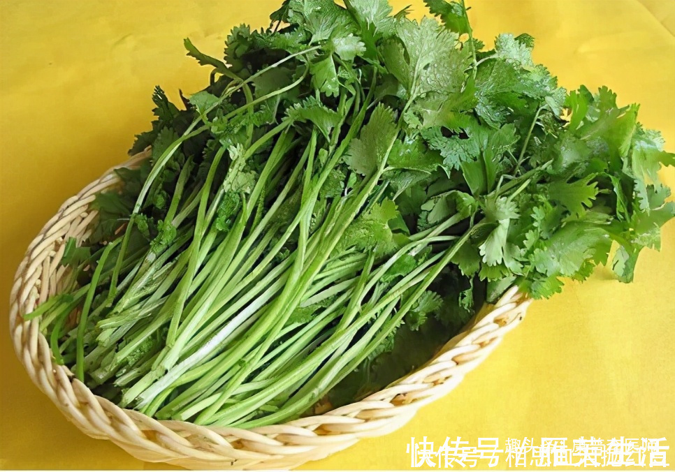 香菜|养生必备的几种食物，一定要常吃，改善消化，预防疾病，谁吃谁好