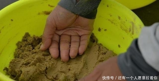 二十年老钓手再次提醒,到了秋天,唯独这样一套用饵方式才最关键