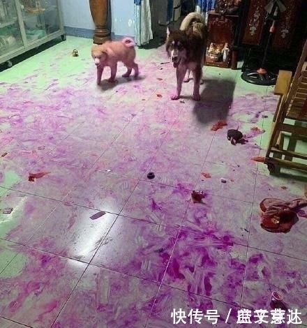 “不懂就问，女孩子的脚上戴这个是什么意思啊”单纯为了看吗