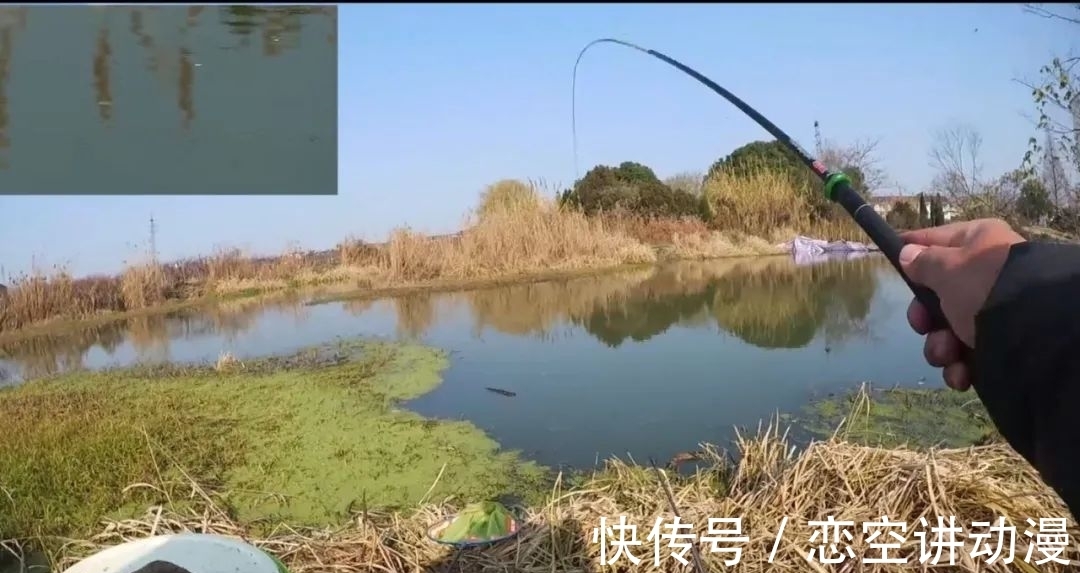 鱼口轻时,如何看准漂相?选择什么样的浮漂,会让漂相更明显!