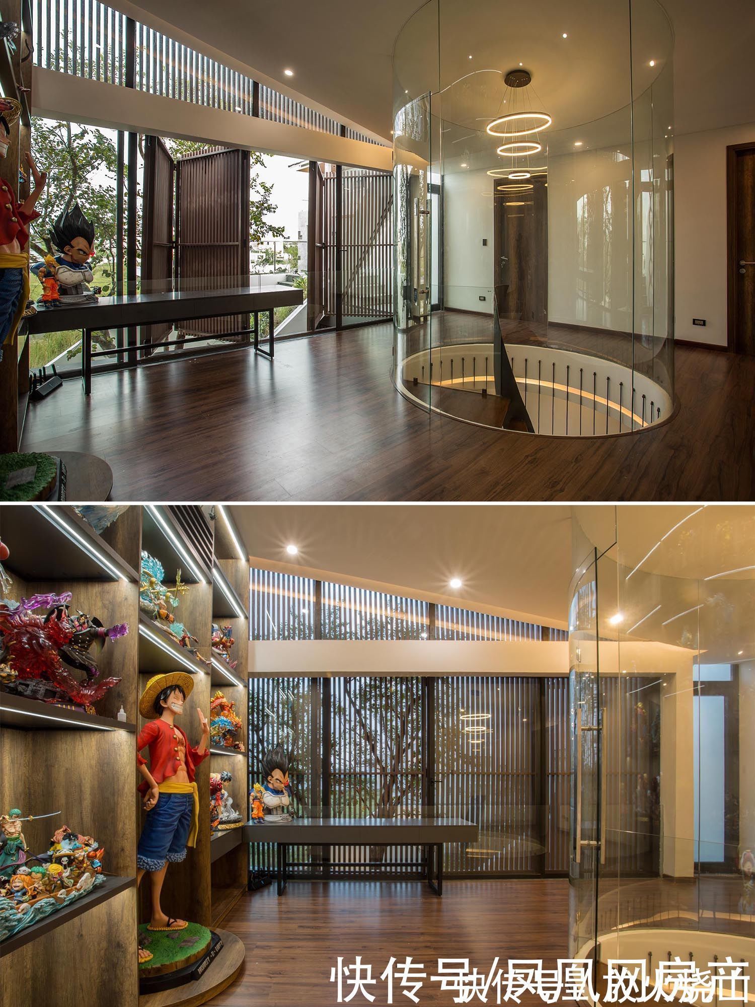 屋子|这对夫妻把屋顶改造成菜园,瓜果蔬菜都吃不完,屋内还能冬暖夏凉