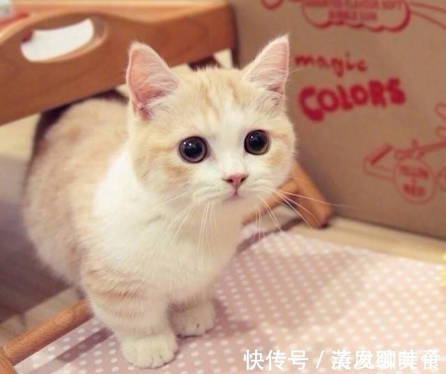 |笑得直不起腰的厚脸皮句子,幽默风趣,搞笑逗比!