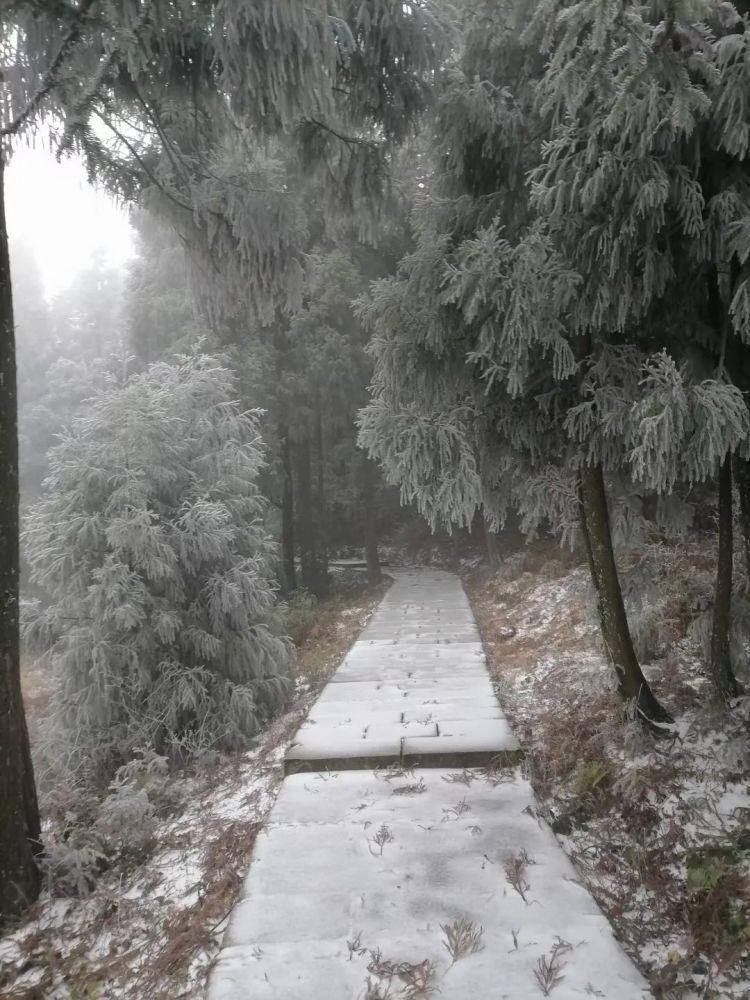 雪景|丽水这些地方下雪了，美炸了~最新雪景美图，请签收