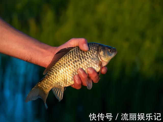 加工|蚯蚓钓鱼这样加工,诱钓效果起码翻一倍