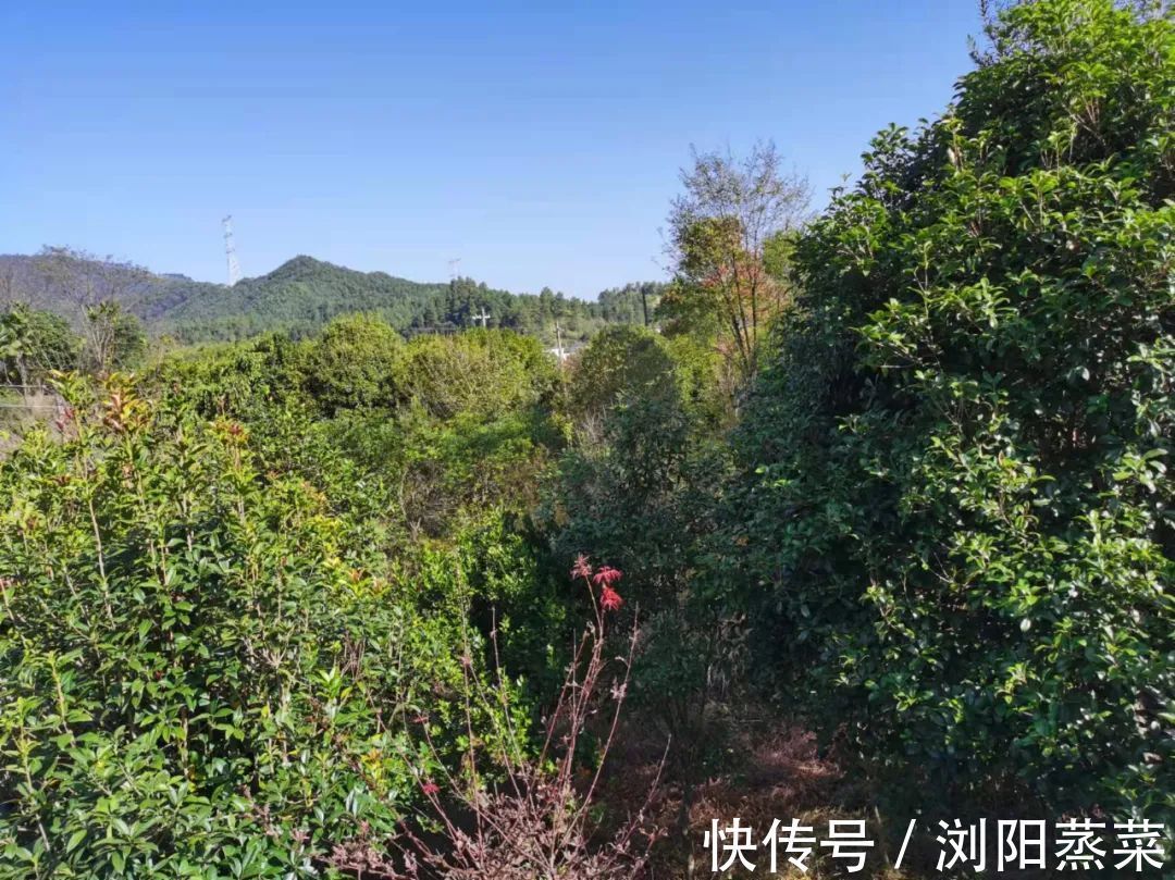 自信|当你相信你的孩子时,你的孩子就会开始自信!