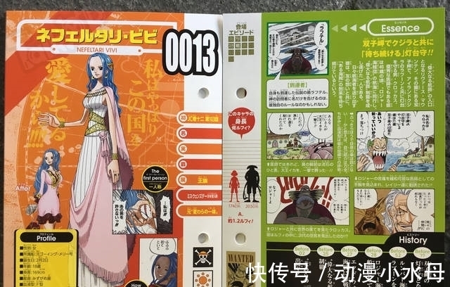 全家福|路飞已经找齐十人了！海贼王官方账号换全家福，暗示她是第十一人