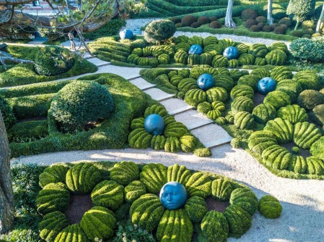 植物“整形”，花样百出