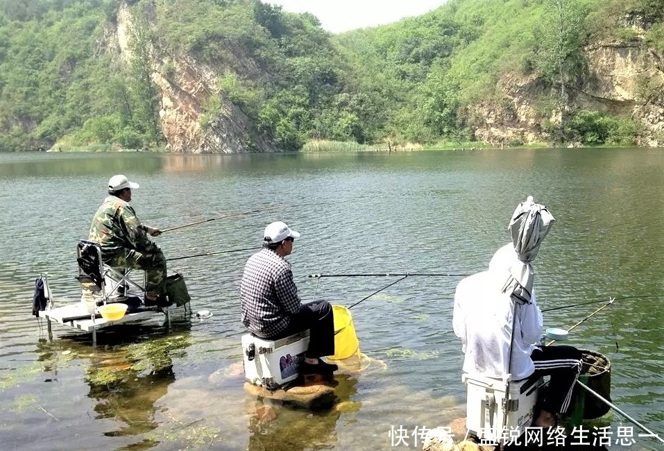 夏季|夏季野钓,突然无鱼口,不是钓技不好,原来是这几种因素