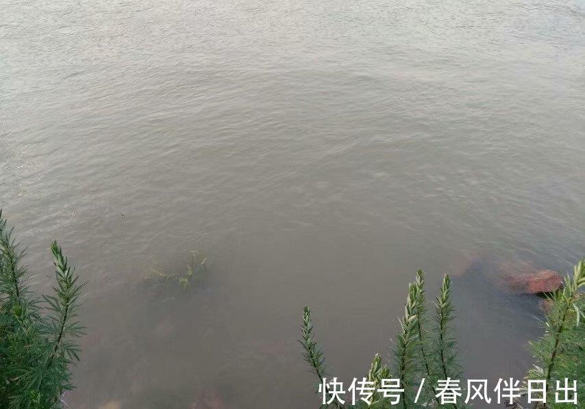 钓法|农村俗语:“大暑河边来钓鱼,巧用一招钓浮鱼”,说的是啥意思?