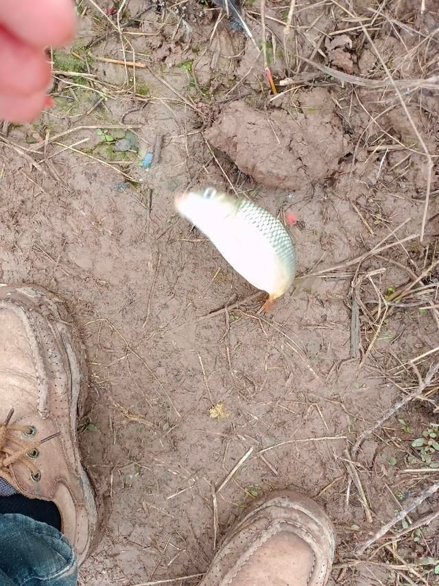 从年尾钓到年头，寓意年年有渔