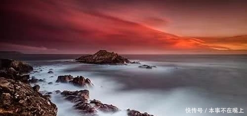 王八蛋|被误传多年的俗语:终于知道“王八蛋”是怎么来的了!