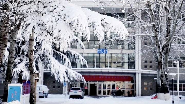 鲁东大学这场雪！太！大！了