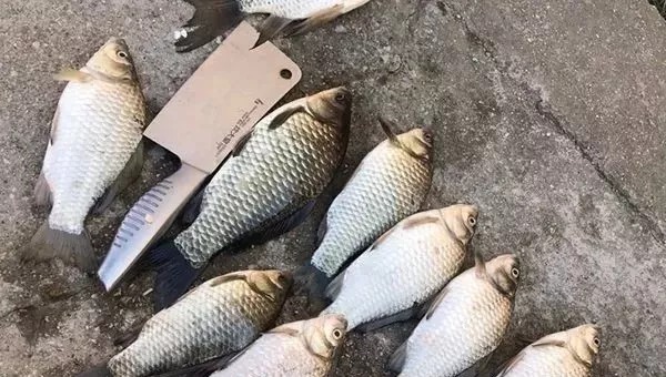 冬钓谨记这2大重点,让你一竿上一条,连杆不断!