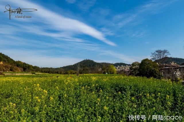 这个废弃的矿坑，周围种满油菜花，摇身一变成为杭州踏青的好去处