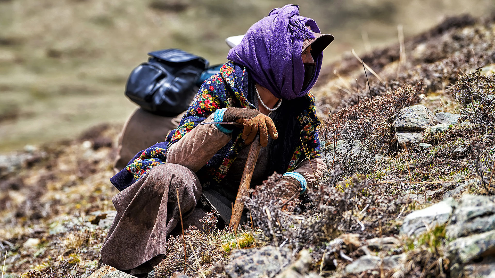 在熟悉的318国道上画出两个鲜有人知的圈~川西游记-格聂&塔公