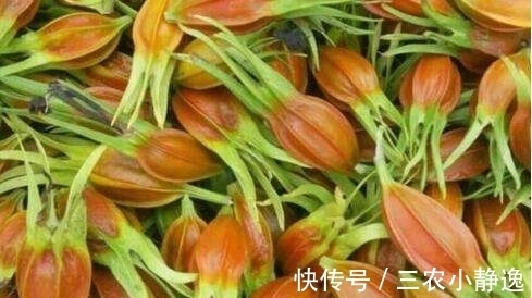 贫血|女性常吃此物，不贫血，没白发，不近视，抗衰老，清洁血液