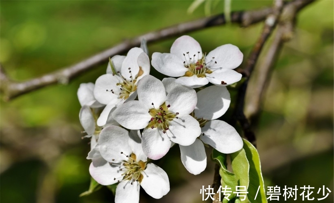 生活质量|78年生肖马前半生行善多多，后半生财运兴旺，真让人羡慕！